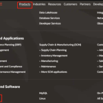 在Windows2016上部署Oracle11g